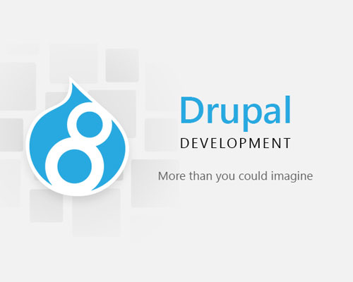 top drupal development company